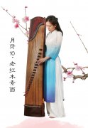 怎么买古筝比较好，如何挑选古筝