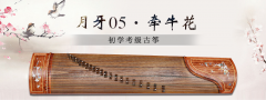 初学者买什么古筝好，古筝选择方案
